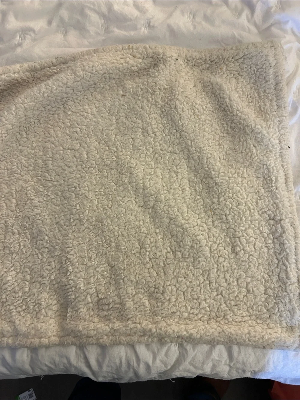 UGG pair pillow shams